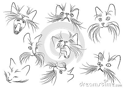 Image of cat muzzle with long whiskers on the white bac Vector Illustration