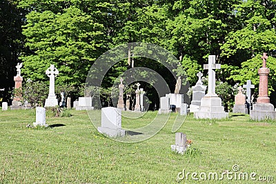 Image of a cemetery. Tombstones in a park in summer. Celtic culture. Stock Photo