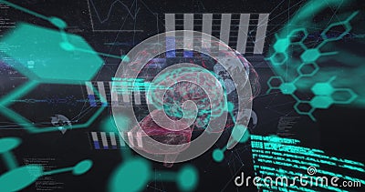 Image of chemical formulas and data processing over rotating brain Stock Photo
