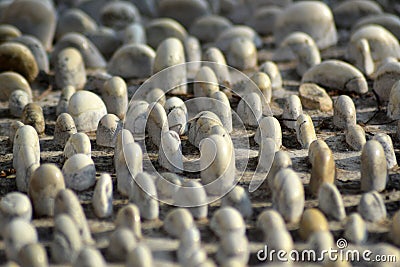 An image of close-up of reflexology stone path Stock Photo