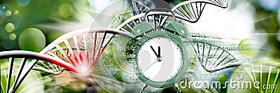 image of a collapsing clock, from which particles are torn off against the background of stylized DNA chains, part of the chain Stock Photo