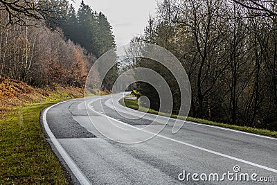 Image of a curve of a country road among forest trees Stock Photo