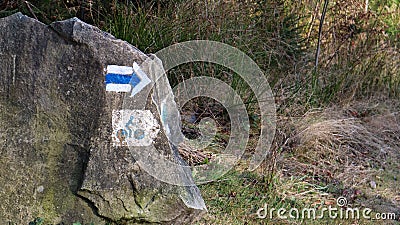 Image of a cyclist on a stone in a forest. A sign for cyclists to show the way. Log in for instructions. closeup of a cobblestone Stock Photo