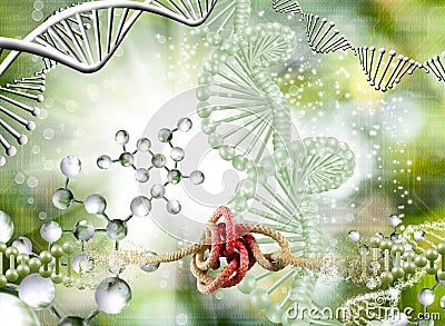 image of a DNA chain with a break in the middle part, while instead of the DNA material, a rope tangled in a knot is shown as a Stock Photo