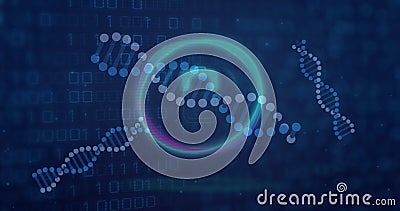 Image of dna strands with data processing over binary coding Stock Photo