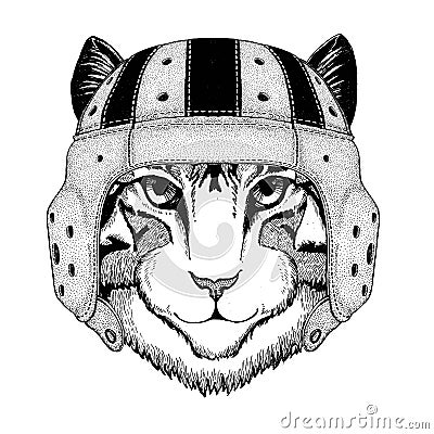 Image of domestic cat Wild animal wearing rugby helmet Sport illustration Vector Illustration