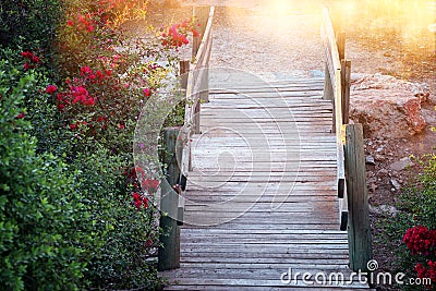 image of dreamy old woods stairs in the woods Stock Photo