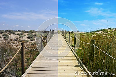 Image editing Stock Photo