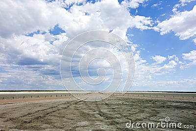 Etosha landscape Stock Photo