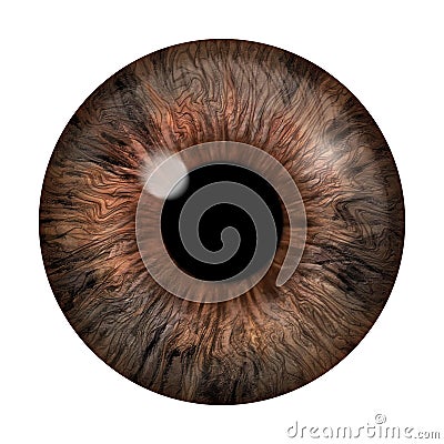 Realistic image of an eye. Iris, cornea, retina with luminous flash. Brown eye. 3d illustration Stock Photo