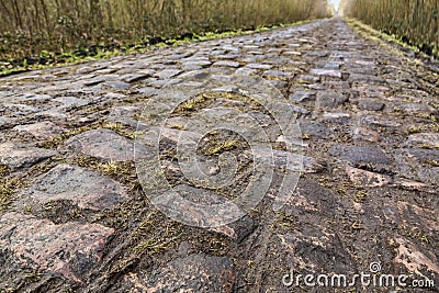 Pave d`Arenberg Stock Photo