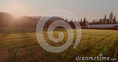 Image of farmhouse, field with trees and lake on sunny day Stock Photo