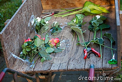 Floral Arrangement Workshop Stock Photo