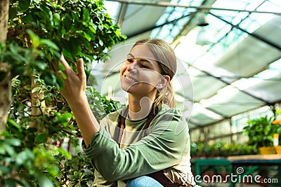 Image of florist girl 20s wearing apron working in greenhouse Stock Photo