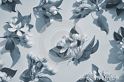 The image of flowers in shades of blue, monochrome. Flower pattern Stock Photo