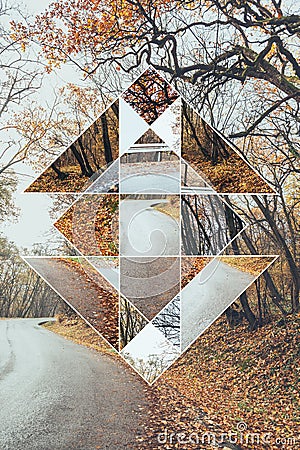 Image of forest in autumn and the sacred geometry symbol Stock Photo