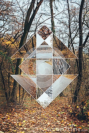 Image of forest in autumn and the sacred geometry symbol Stock Photo