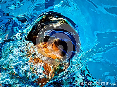 The image formed by the water Stock Photo