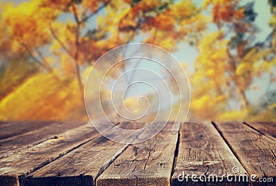 Image of front rustic wood boards and background of fall leaves in forest Stock Photo