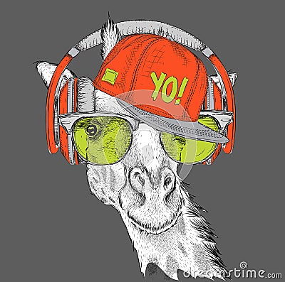 The image of the giraffe in the glasses, headphones and in hip-hop hat. Vector illustration. Vector Illustration