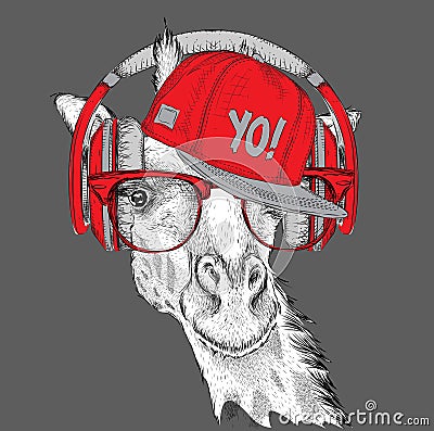 The image of the giraffe in the glasses, headphones and in hip-hop hat. Vector illustration. Vector Illustration