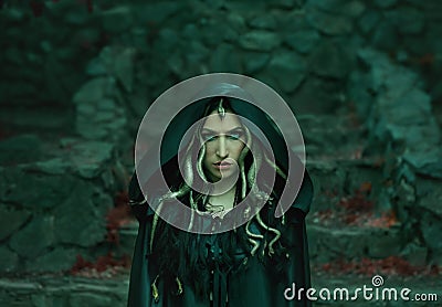 Image of Gorgon Medusa, braid hair and gold snakes, close-up portrait. Gothic make-up in green shades. Background of Stock Photo