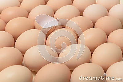 Image of a group of whole chicken eggs and half an egg shell among it. Stock Photo