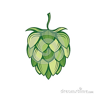 Image of hops Vector Illustration