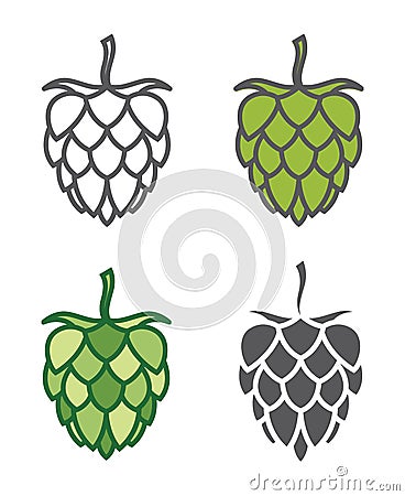 Image of hops set Vector Illustration