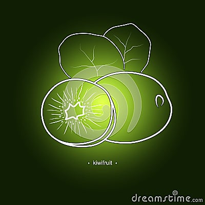 Image Kiwifruit in the Contours Vector Illustration