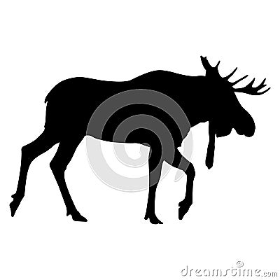 Moose antler silhouette eps crafteroks Stock Photo