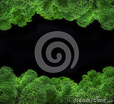 Image of moss dark background Stock Photo