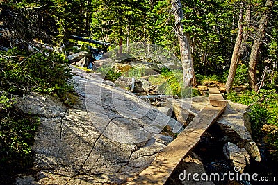 Narrow hiking path of logs through forest Stock Photo