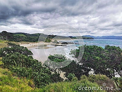 An image of the ocean beach in New Zealand hedged by large green trees under cloudy sky Stock Photo