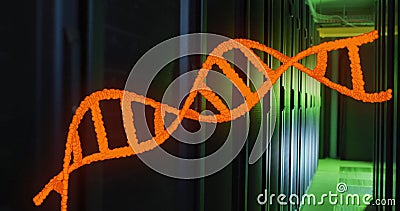 Image of orange dna strand rotating over dark computer server room Stock Photo