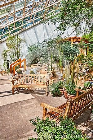 Pair of benches on path surrounded by cactus plants in greenhouse Stock Photo
