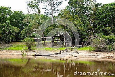 Image in Peruvian jungle, close to amazon river. Calm water, trees, wood. Stock Photo