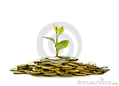 Image of pile of coins with plant on top for business, saving, growth, economic concept Stock Photo