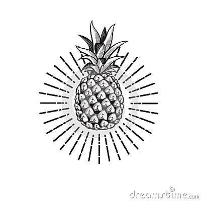 Image of pineapple fruit Vector Illustration