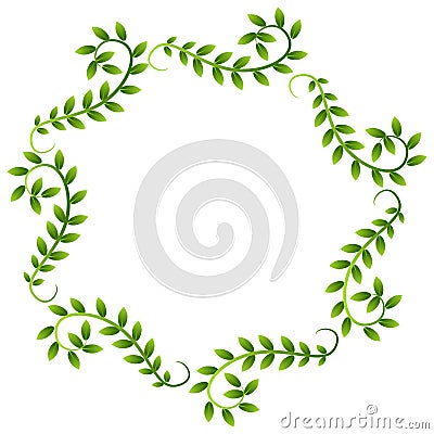 Plant Vine Leaves Frame Wreath Border Vector Illustration