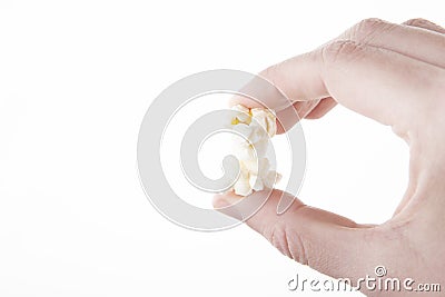 Image of pop corn hand white background Stock Photo