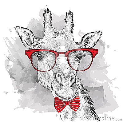 Image Portrait giraffe in the cravat and with glasses. Hand draw vector illustration. Vector Illustration