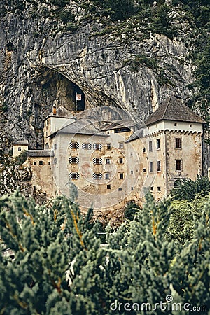 Image of Predjamski castle with flowers in the foreground Stock Photo