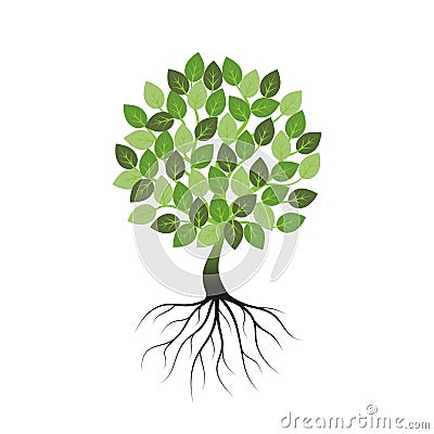 Green tree with roots an icon on a white background. Vector Illustration