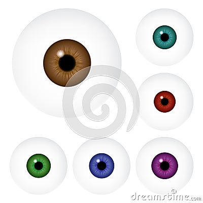 Image of realistic human eye ball with colorful pupil, iris. Vector illustration isolated on white background. Vector Illustration