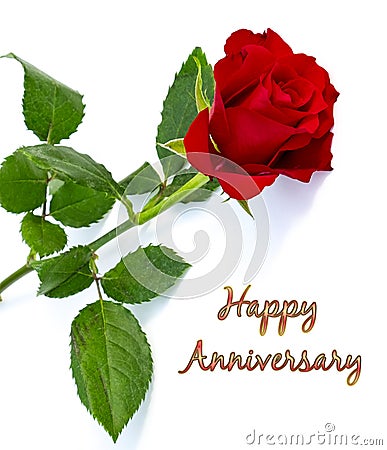 Red Rose anniversary Greetings cards Stock Photo