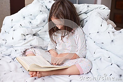 Image of serious preschooler girl reading book in bed, cute kid sitting under blanket with dandelion, darkhaired child reads fairy Stock Photo