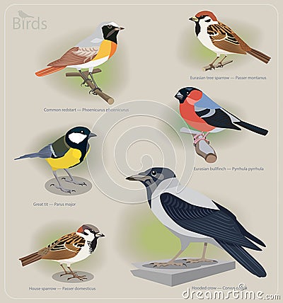 Image set of birds Vector Illustration