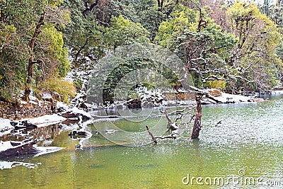 Clean Unpolluted Water of Deoria or Deoriya Tal Lake & Snow Covered Green Trees - Winter Landscape in Himalaya, Uttarakhand, India Stock Photo