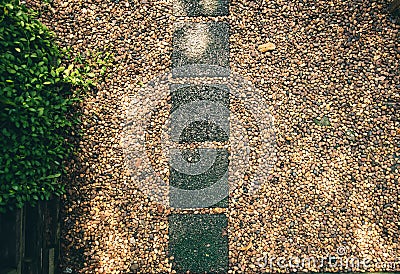 image Stone walkway in garden Stock Photo